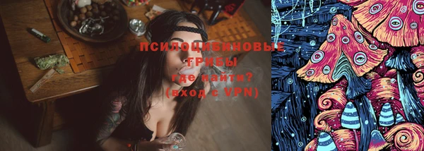 соль ск Абдулино